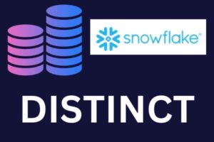 select top 10 distinct snowflake